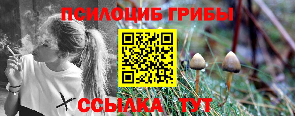 Тула  Псилоцибиновые грибы мухоморы  Вход с VPN 